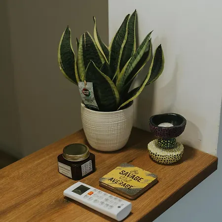 My Choice سراييفو